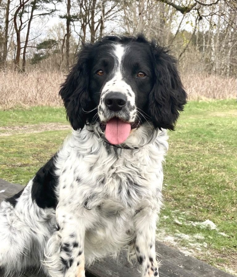 Foto von Unsplash von: - Gabriel Tenan